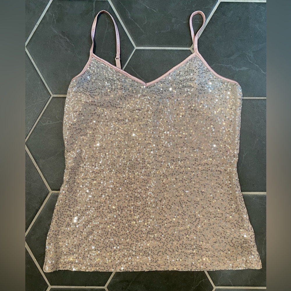 Express Sparkly Top